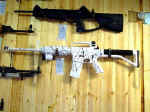 AR-15 - Urban Winter