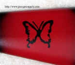 crosebutterfly.jpg (86221 bytes)