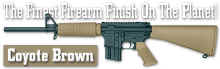Coyote Brown